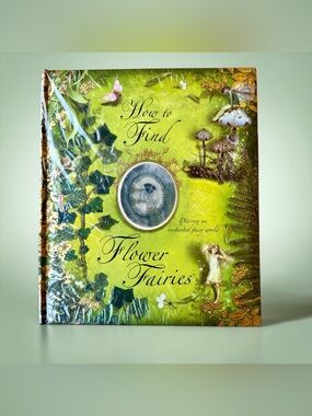How to Find Flower Fairies Pop Up Book Brand New Sealed- RARE
